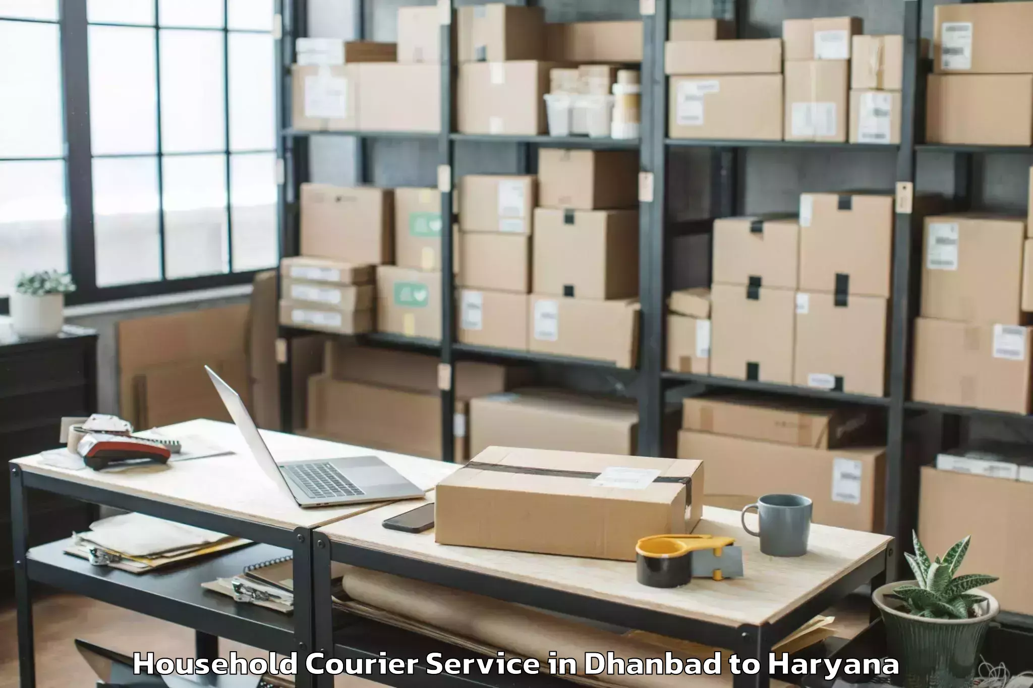 Book Dhanbad to Hisar Household Courier Online